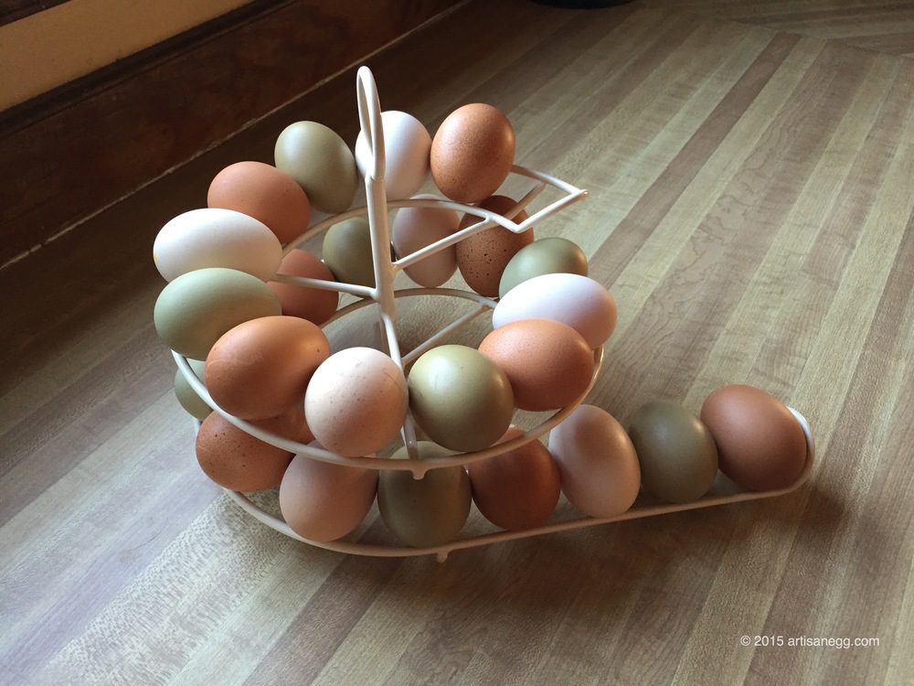 English Egg Skelter — Art is an Egg